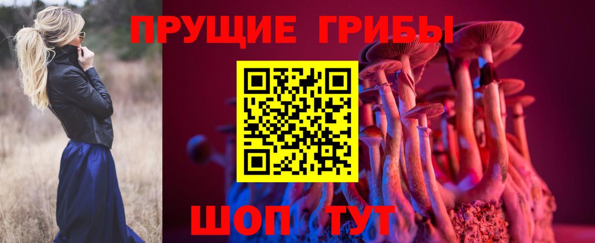 Псилоцибиновые грибы MAGIC MUSHROOMS  Галлюциногенные грибы Psilocybine cubensis  Шали  Вход с VPN 
